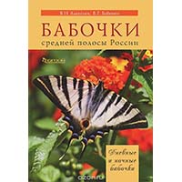 <span>Бабочки средней полосы России</span>. Дневные и ночные